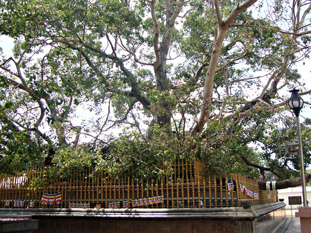 Kataragama belongs to All